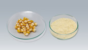 Corn 10g